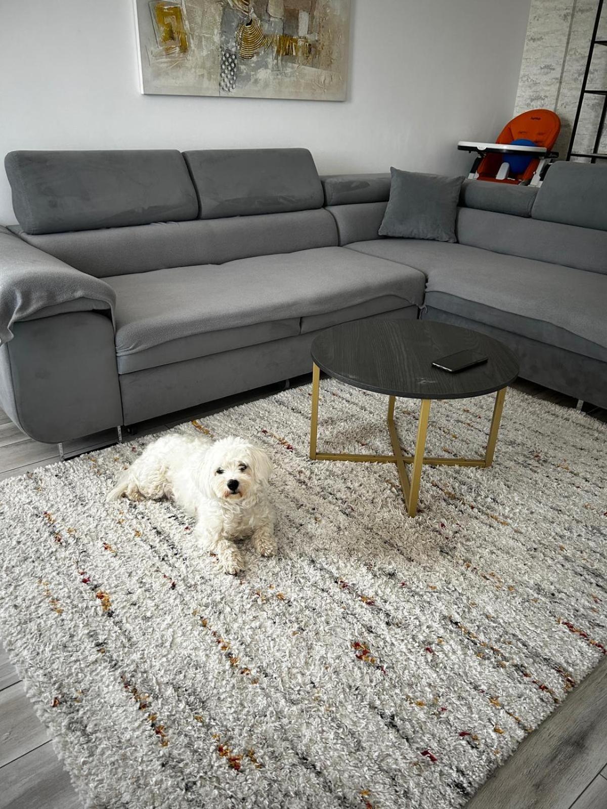 Mabu Apartment Brasov Bagian luar foto